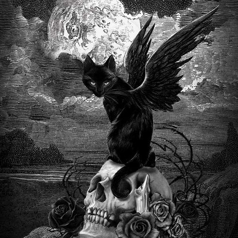 Alchemy Nine Lives of Poe Universal Laptop 11in (8.8 x 6.2in) Skin